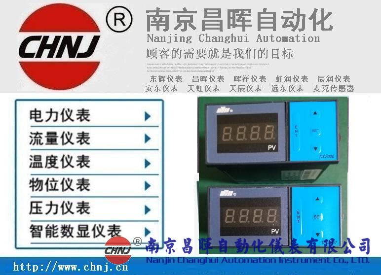 大延牌DY2000、東輝儀表、DY28B02/DY21B02/DY29B02數(shù)顯表