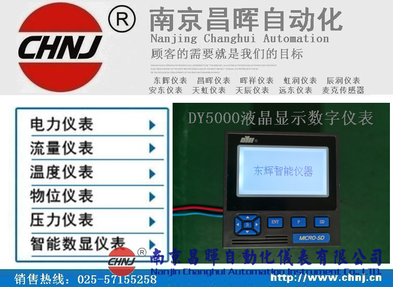 DY21ZL、DY22ZL00、DY59ZL60、DY5000（ZL）液晶顯示數(shù)字儀表